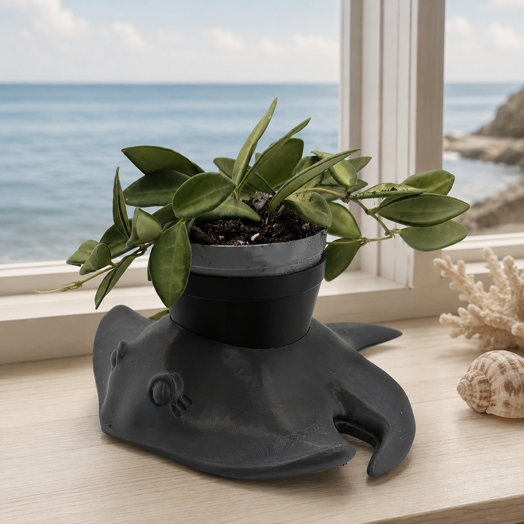 Manta Ray Planter - Winsome Waters Planter