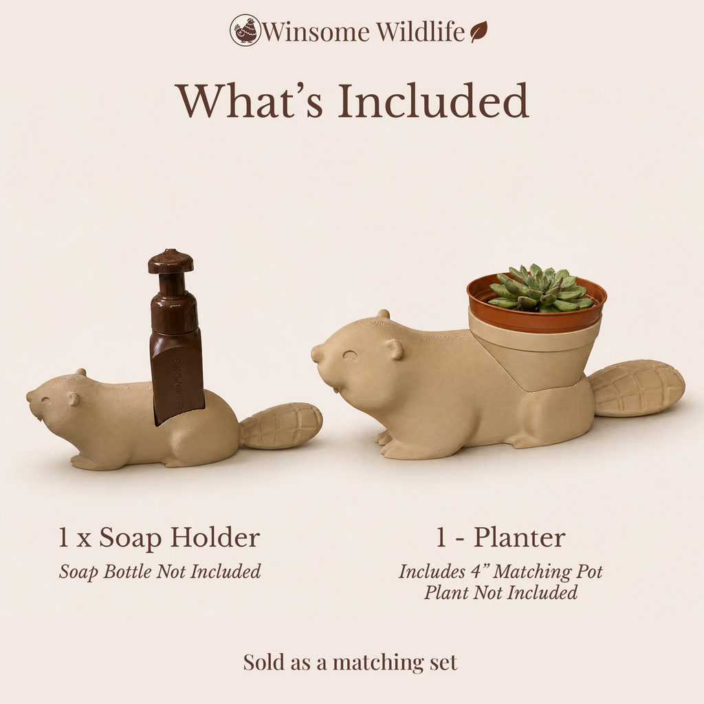 Beaver Planter and Soap Holder Bundle - Winsome Wildlife