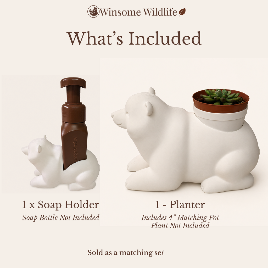 Bear Planter and Soap Holder Bundle - Winsome Wildlife