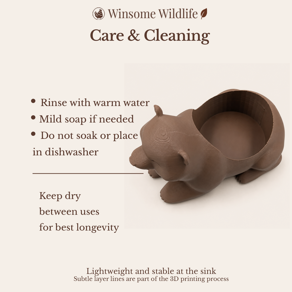 Bear Universal Soap Holder - Winsome Wildlife
