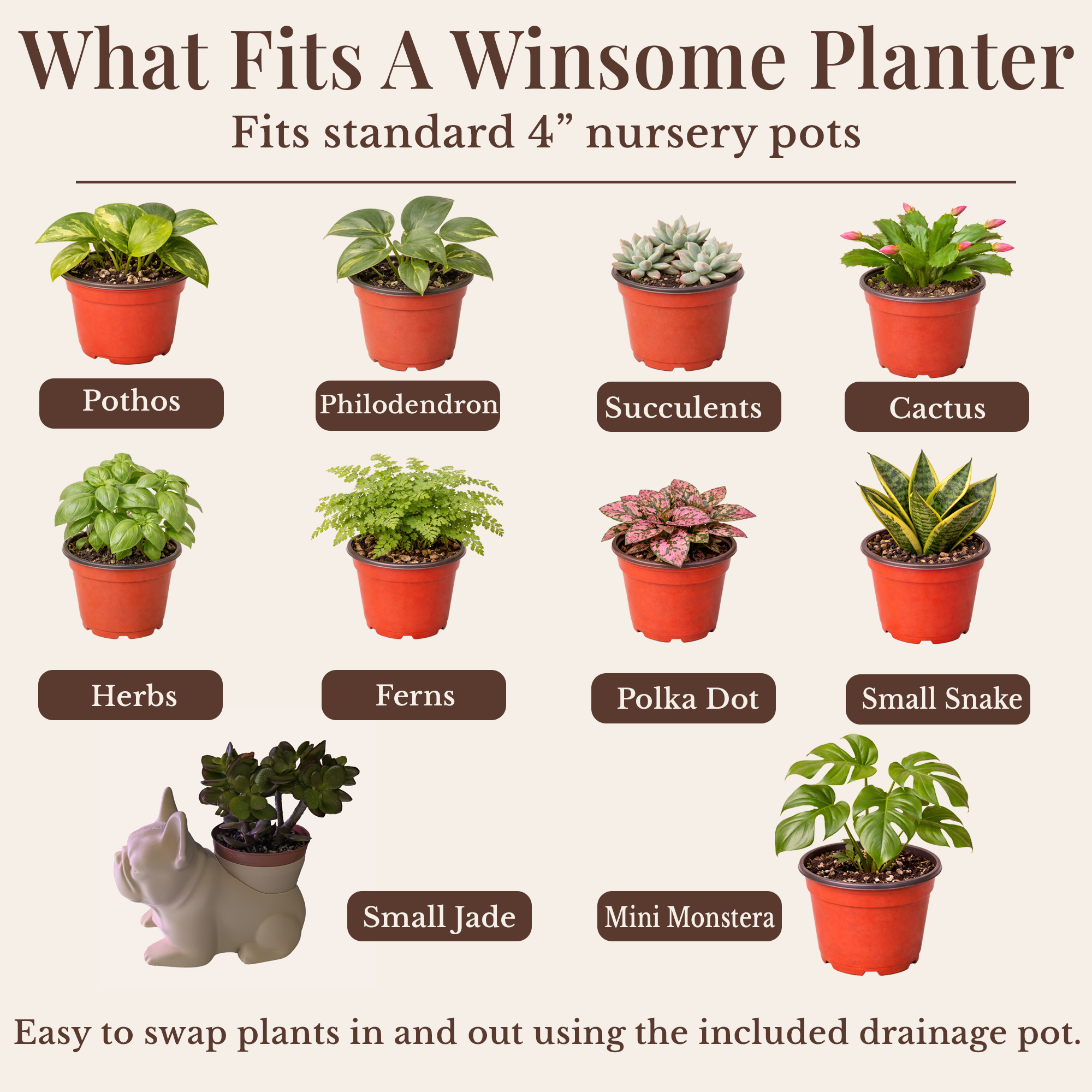 Sea Turtle Planter - Winsome Waters Planter