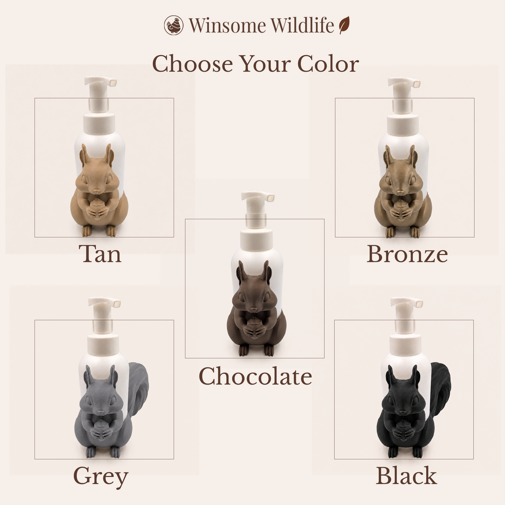 Squirrel Universal Soap Holder - Winsome Wildlife