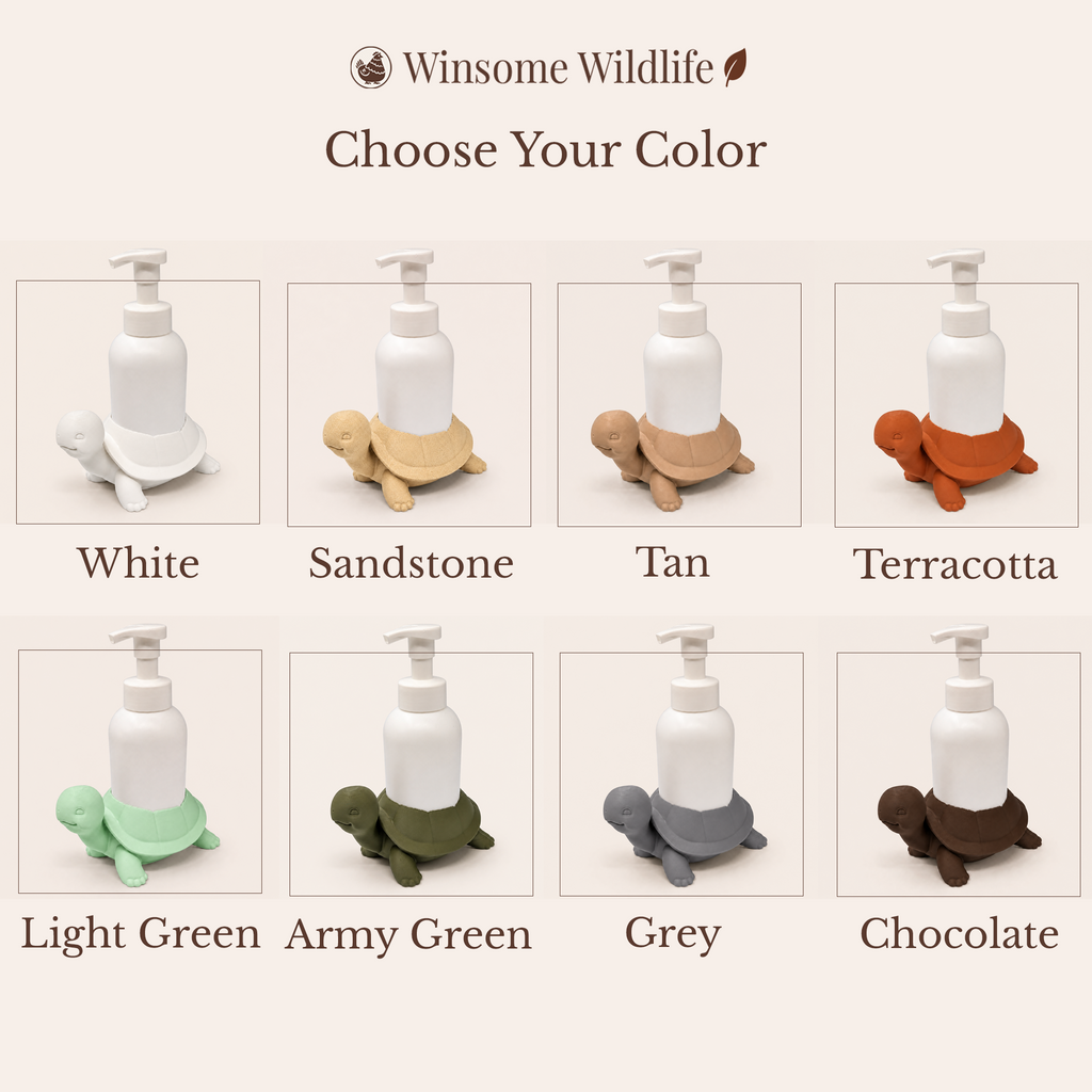 Turtle Universal Soap Holder - Winsome Wildlife