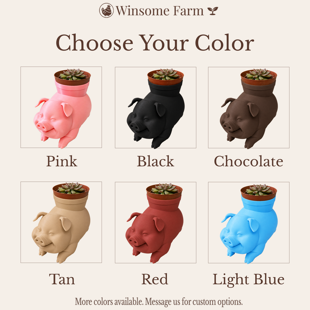 Pig Planter and Soap Holder Bundle - Winsome Farm