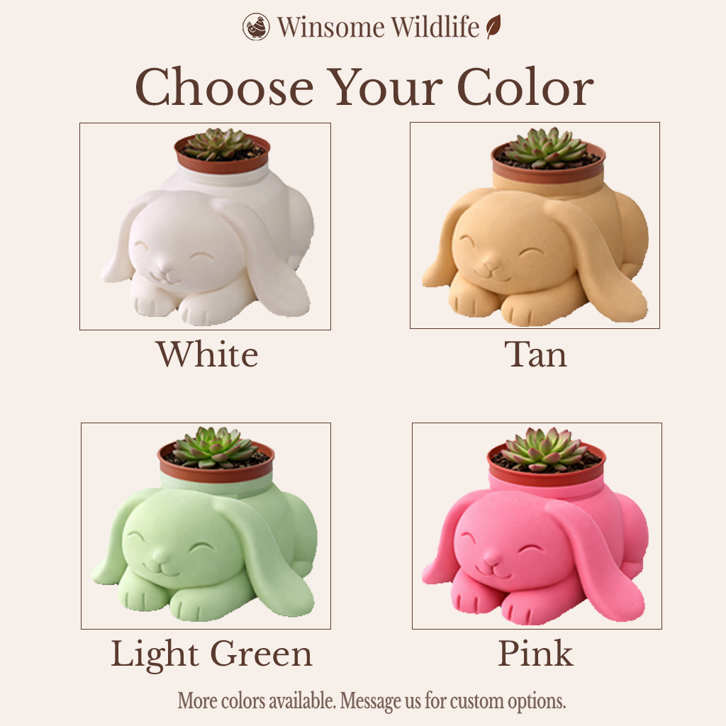 Bunny Planter and Soap Holder Bundle - Winsome Wildlife