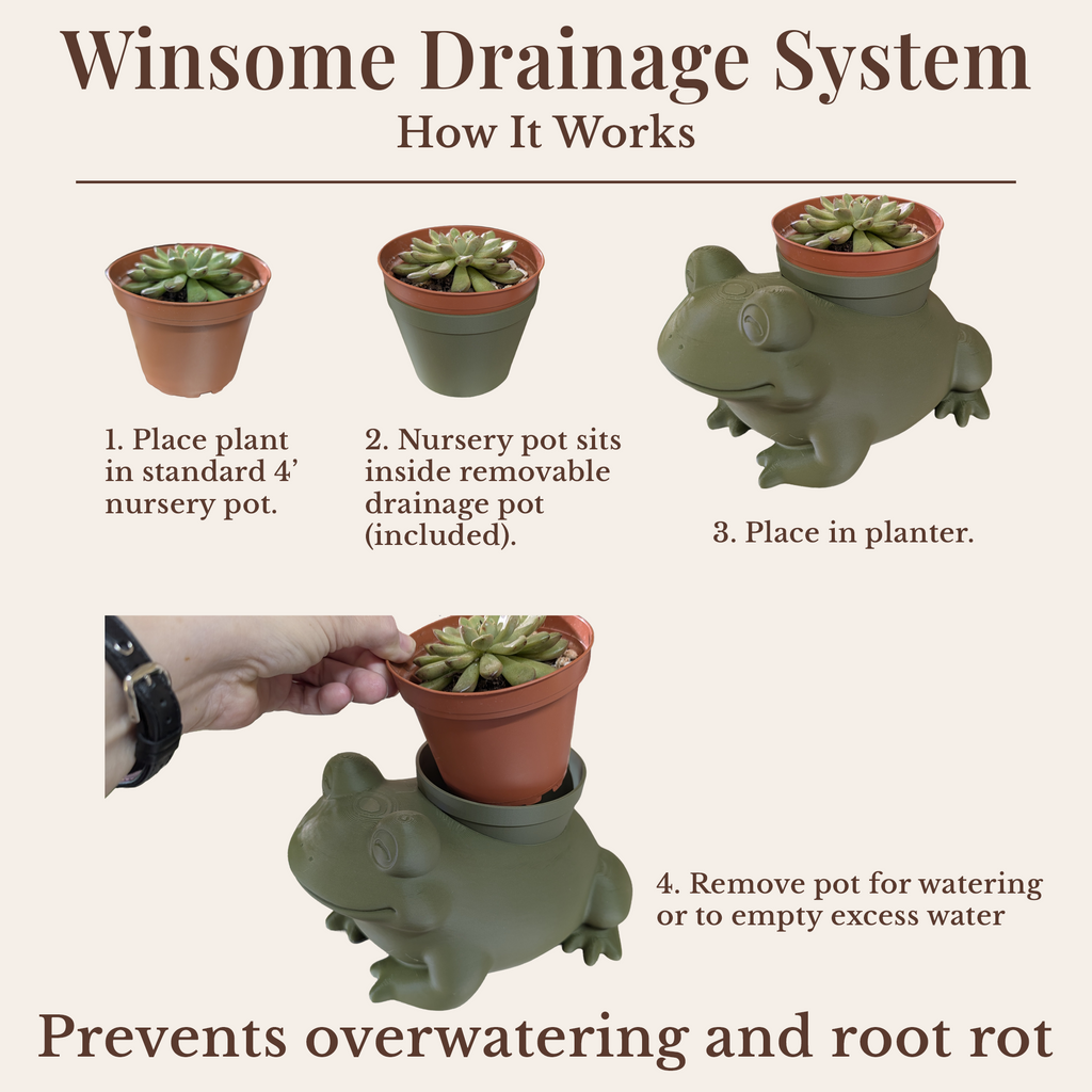 Sea Turtle Planter - Winsome Waters Planter