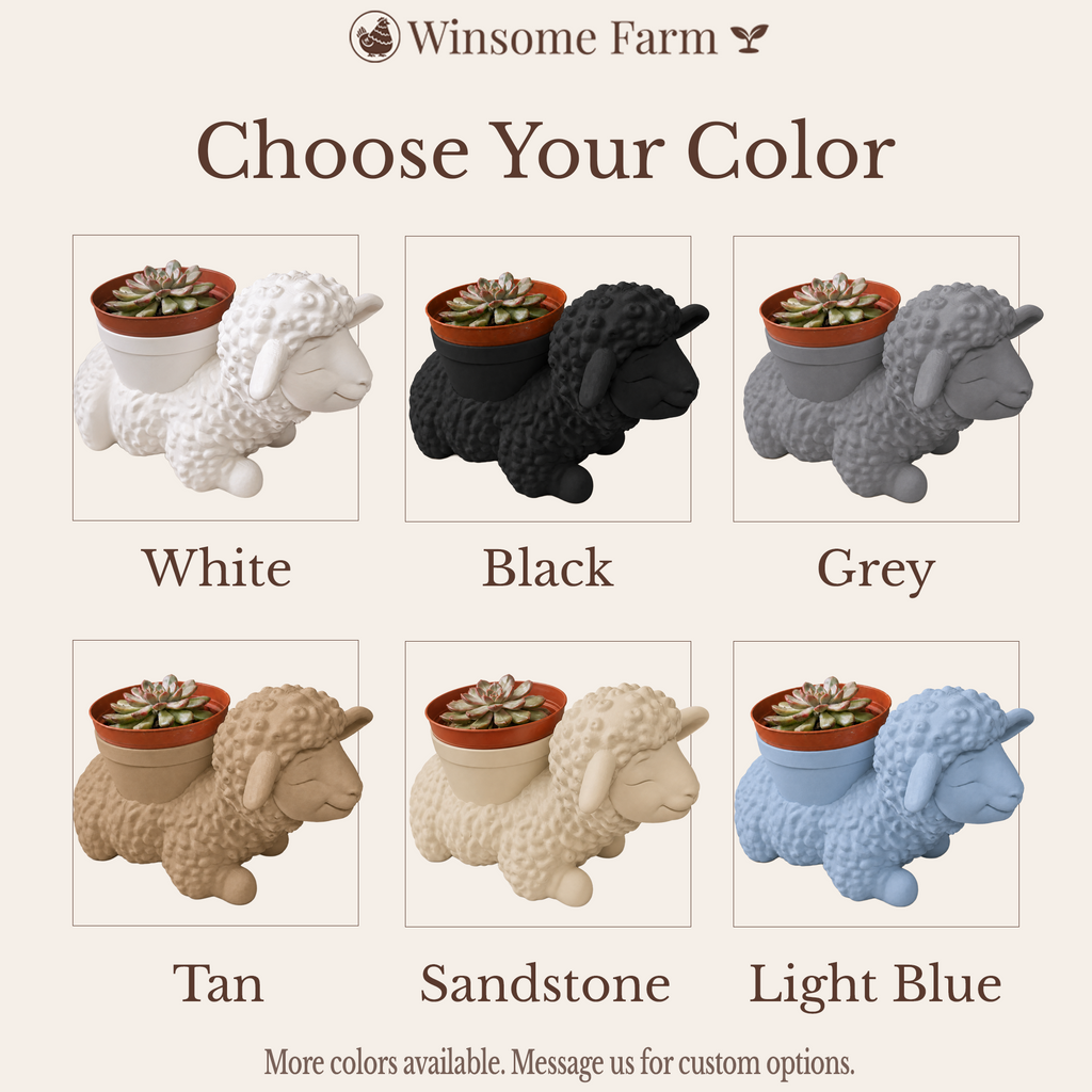 Sheep Soap Holder - Bath & Body Works Holder - Winsome Farm
