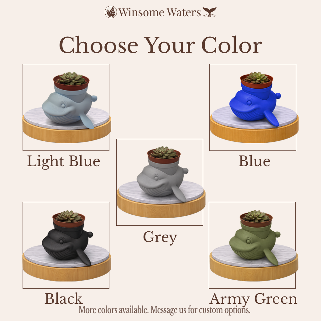 Whale Planter - Winsome Wildlife