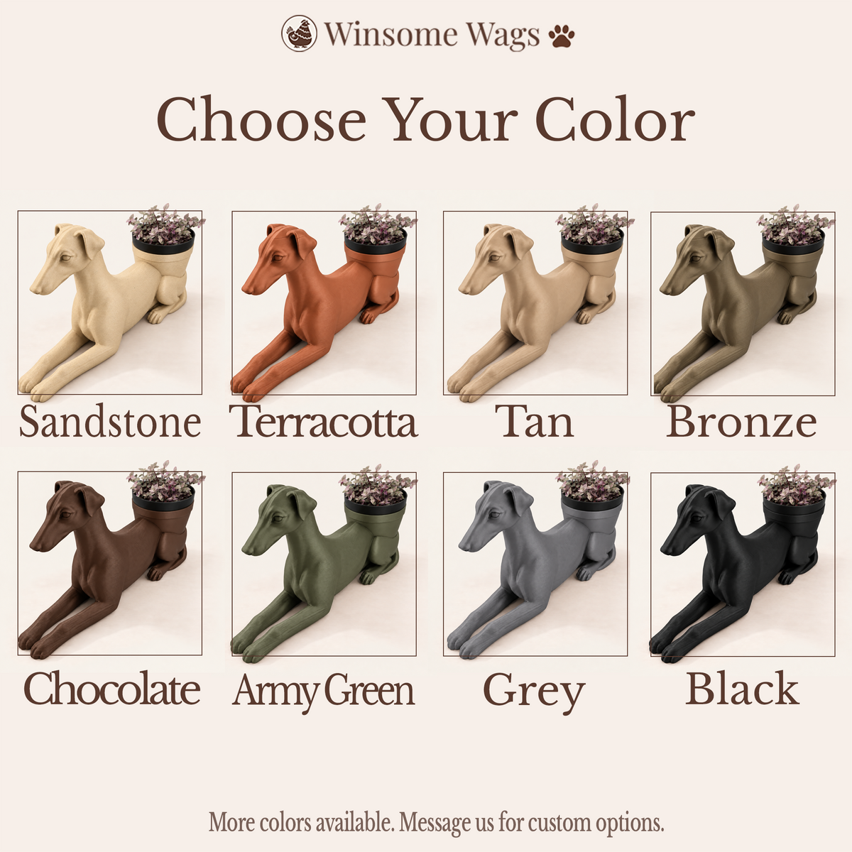 Greyhound - Winsome Wags