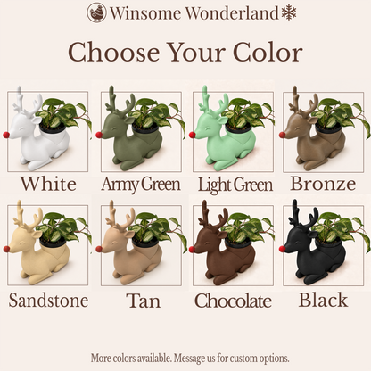 Rudolph - Winsome Wonderland
