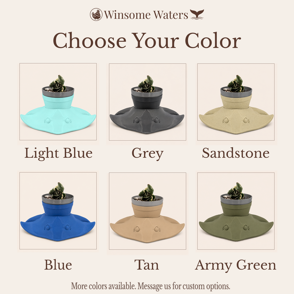 Manta Ray Planter - Winsome Waters Planter