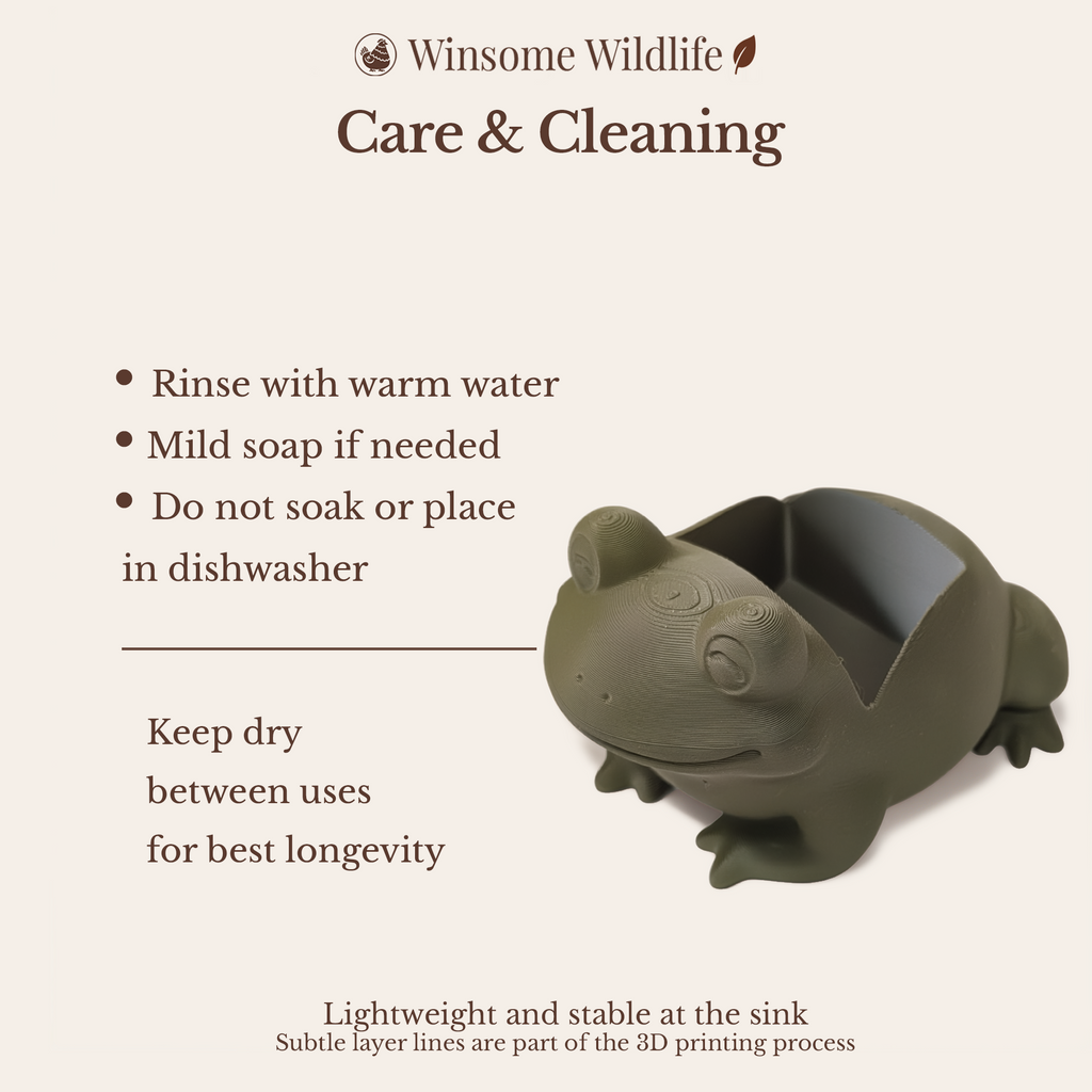 Frog Soap Holder - Bath & Body Works Holder - Winsome Wildlife