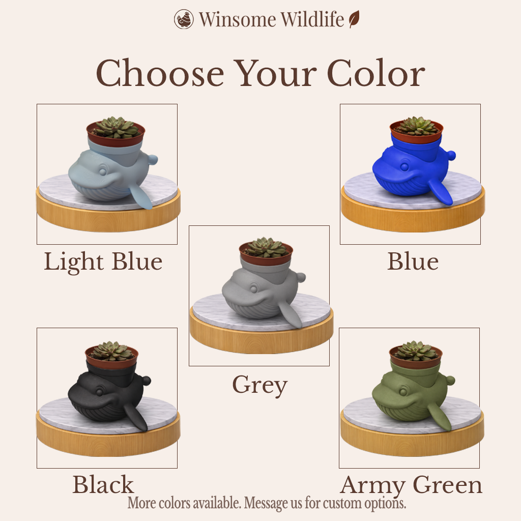 Whale Planter and Soap Holder Bundle - Winsome Wildlife