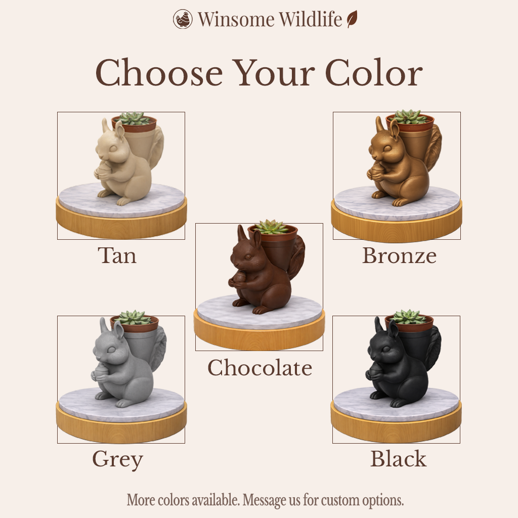 Squirrel Planter and Soap Holder Bundle - Winsome Wildlife