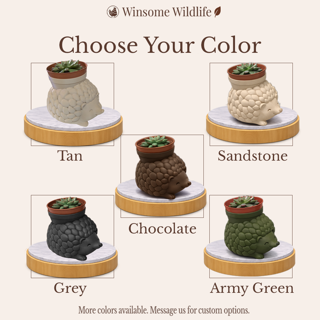 Hedgehog Planter and Soap Holder Bundle - Winsome Wildlife