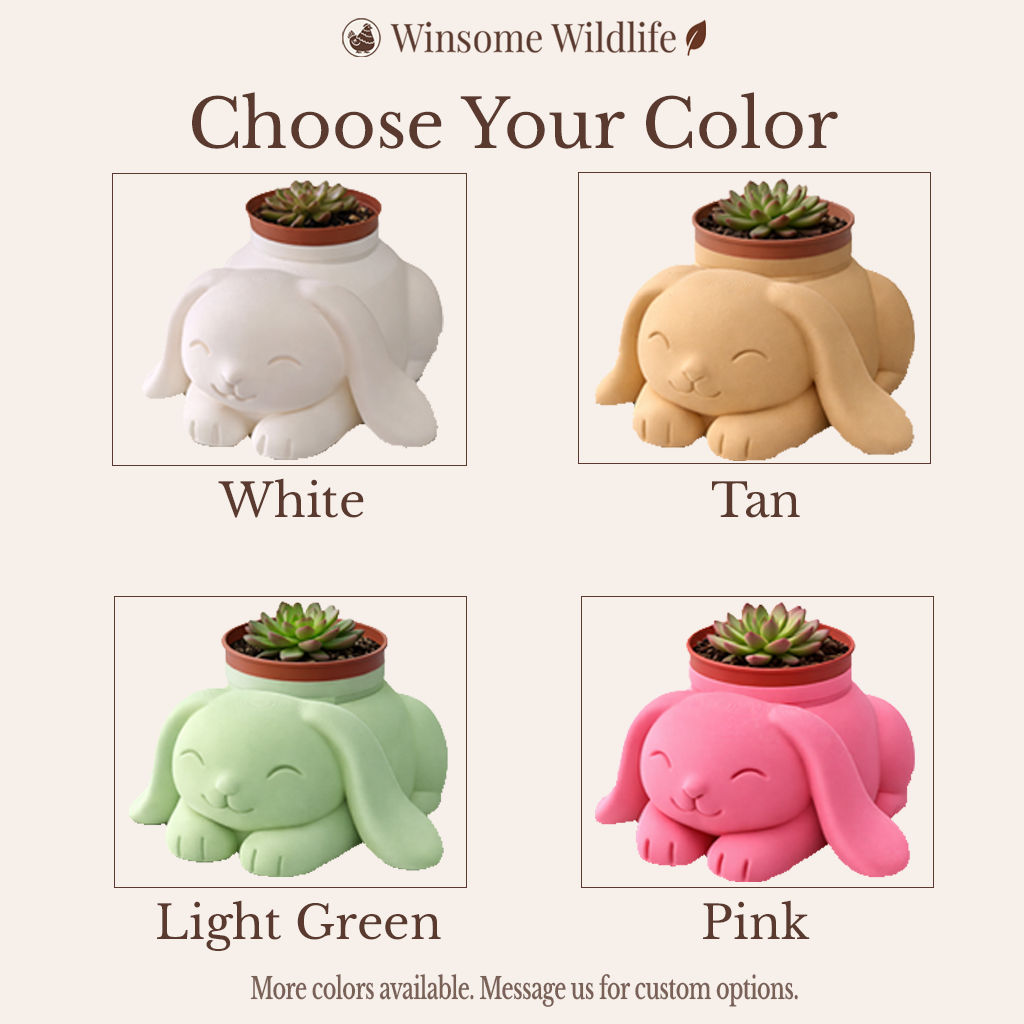 Bunny Planter - Winsome Wildlife