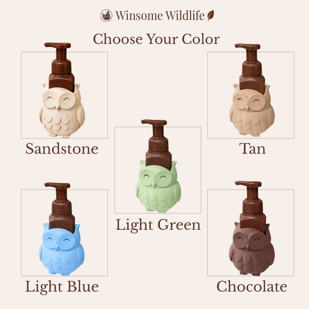 Owl Soap Holder - Bath & Body Works Holder - Winsome Wildlife