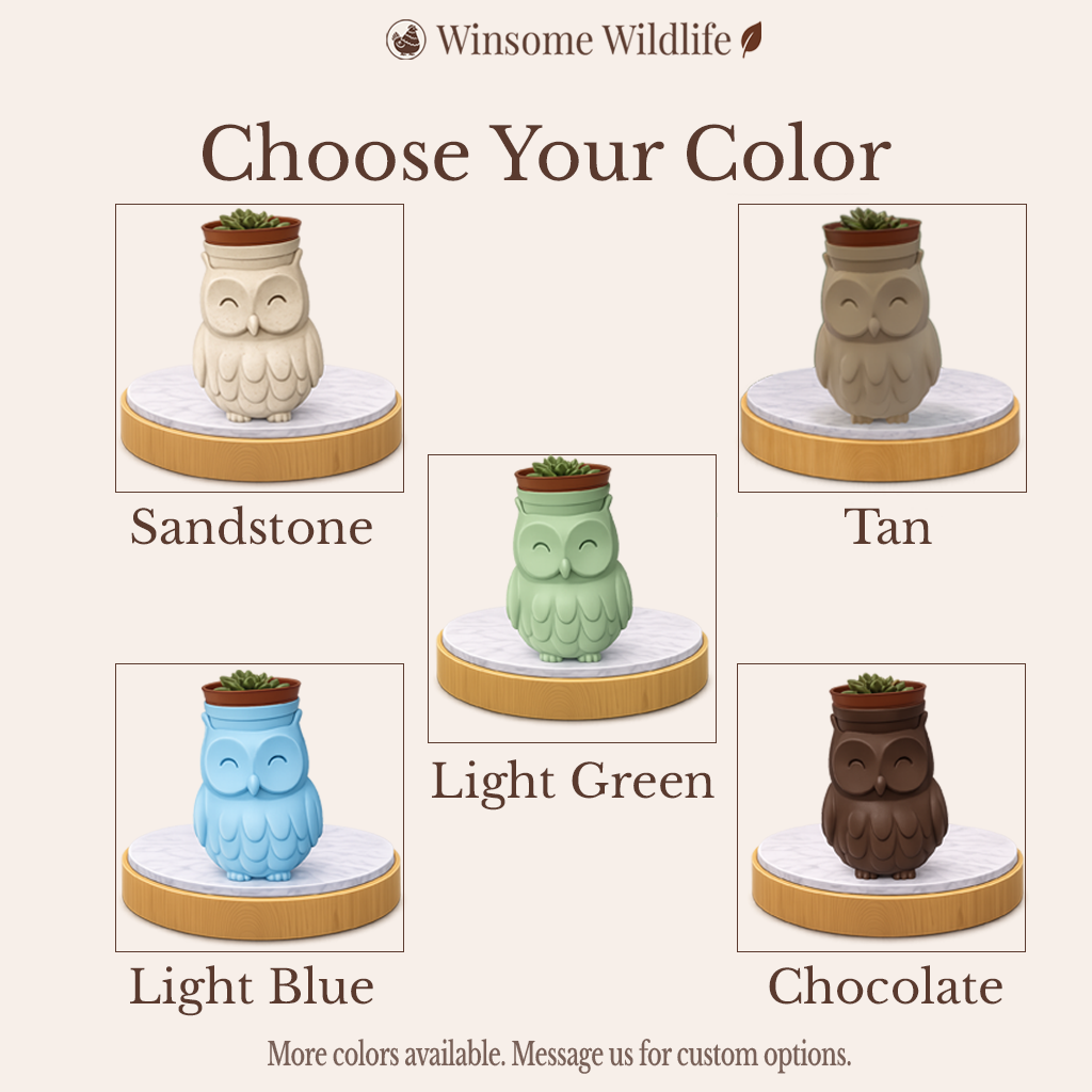 Owl Planter - Winsome Wildlife
