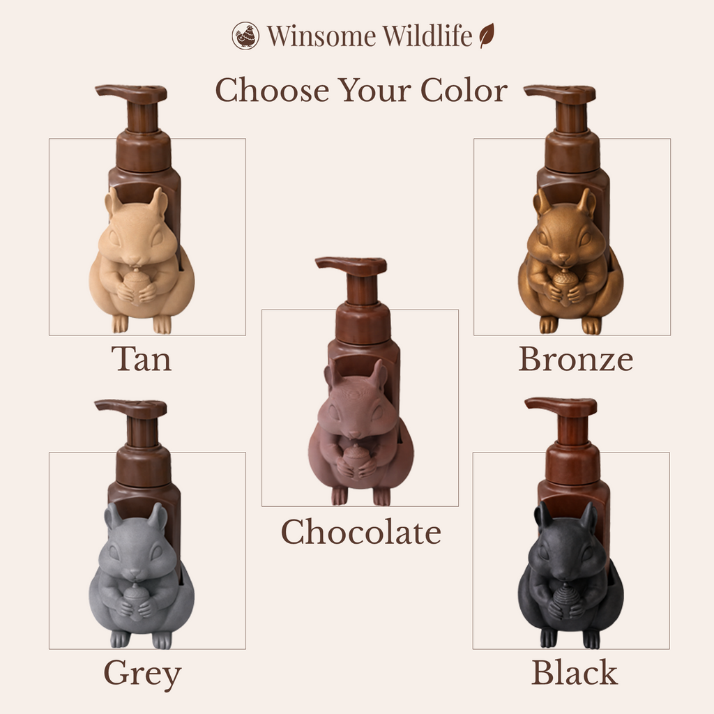 Squirrel Soap Holder - Bath & Body Works Holder - Winsome Wildlife