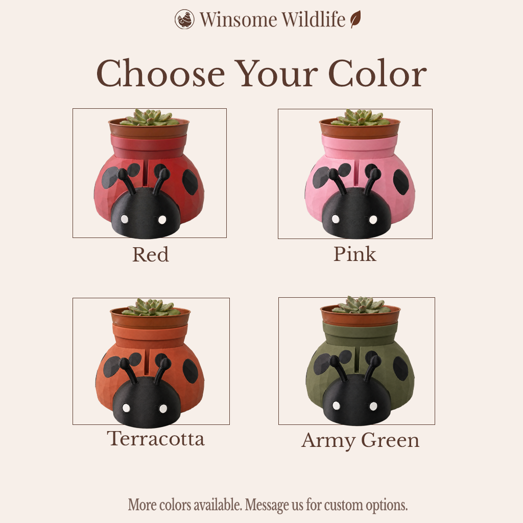 Ladybug Planter and Soap Holder Bundle - Winsome Wildlife