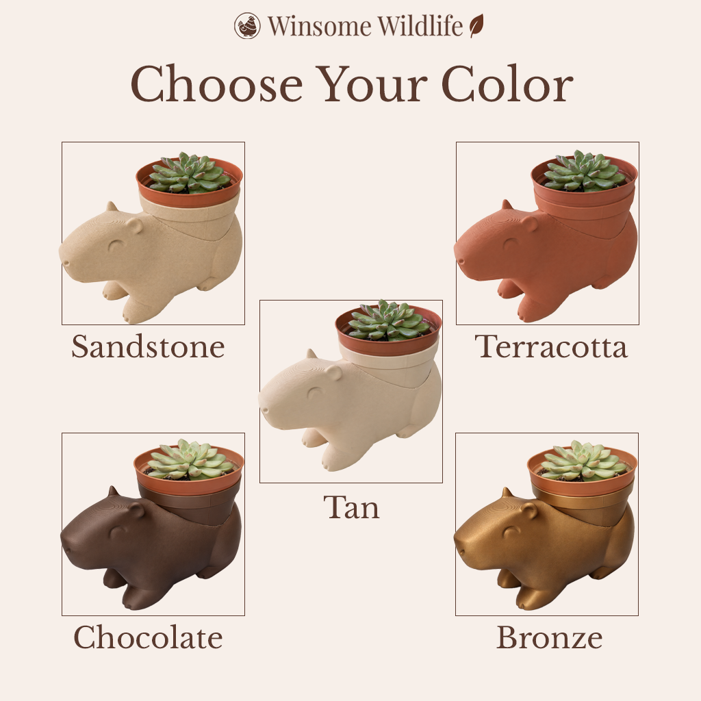 Capybara Planter - Winsome Wildlife