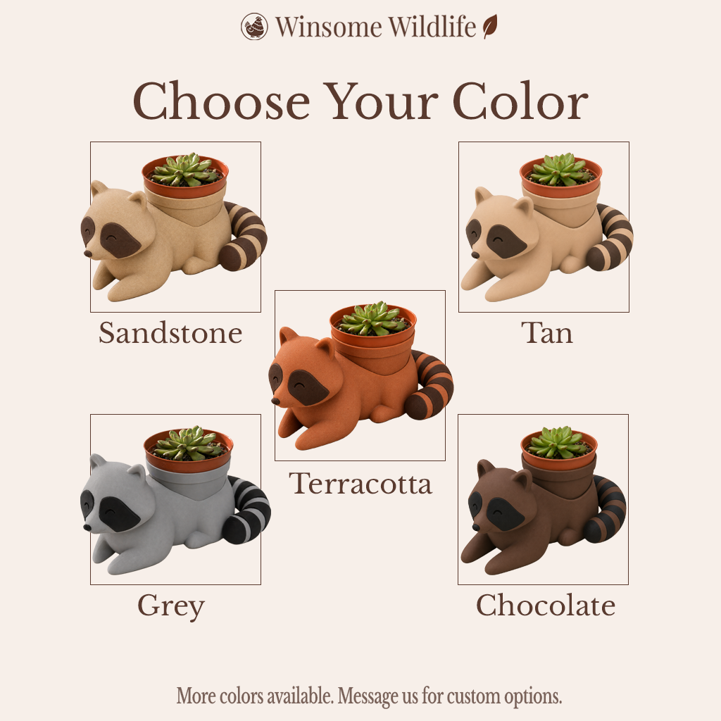 Raccoon Planter and Soap Holder Bundle - Winsome Wildlife