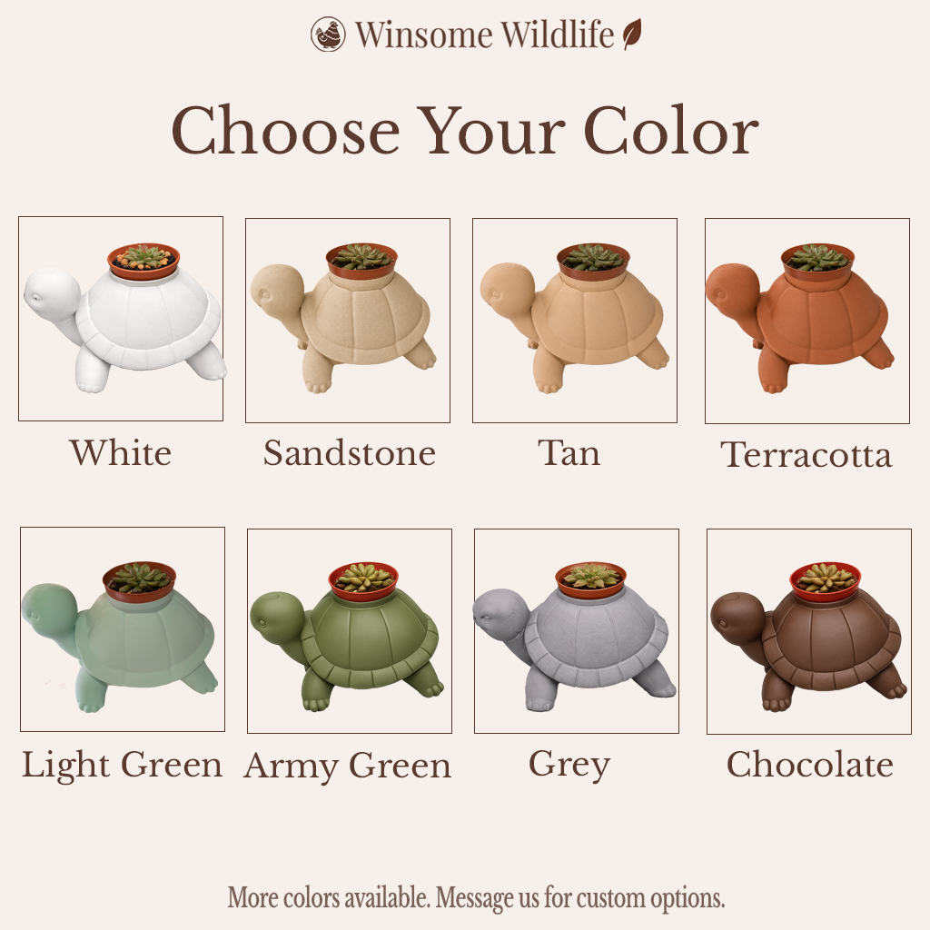 Turtle Planter - Winsome Wildlife