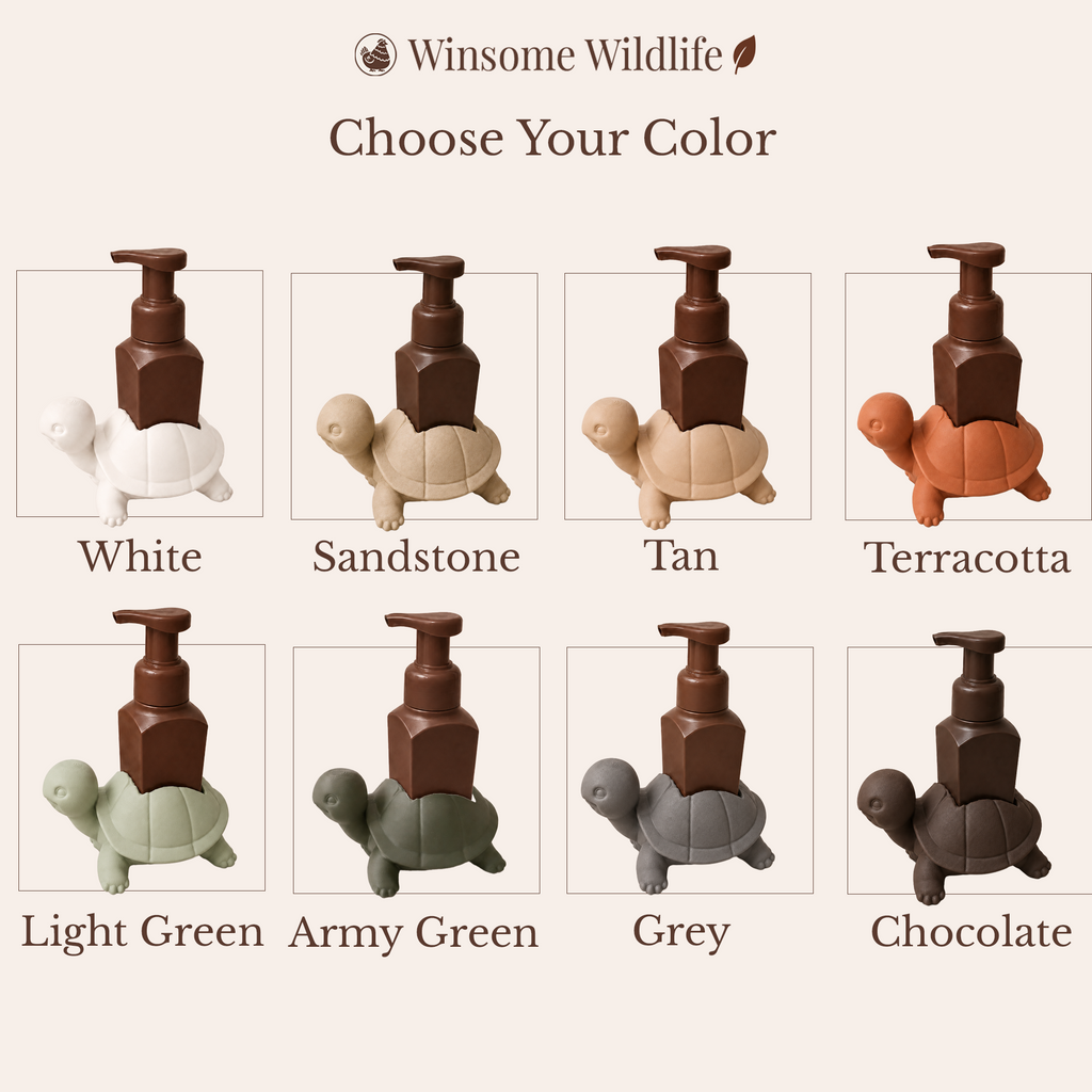 Turtle Soap Holder - Bath & Body Works Holder - Winsome Wildlife