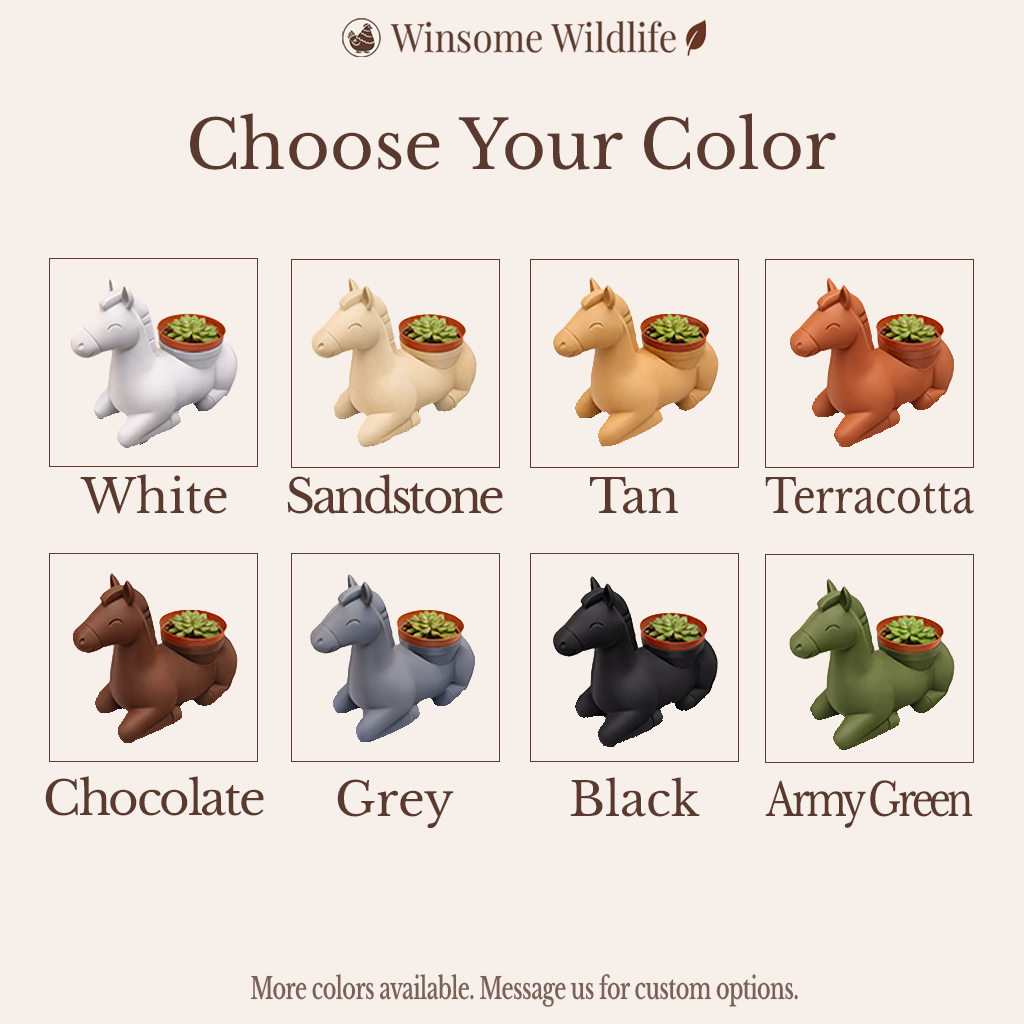 Horse Planter and Soap Holder Bundle - Winsome Farm