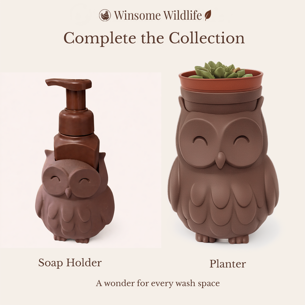 Owl Soap Holder - Bath & Body Works Holder - Winsome Wildlife