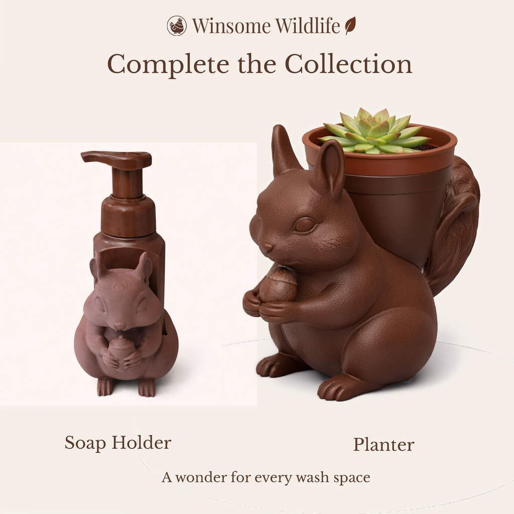 Squirrel Soap Holder - Bath & Body Works Holder - Winsome Wildlife
