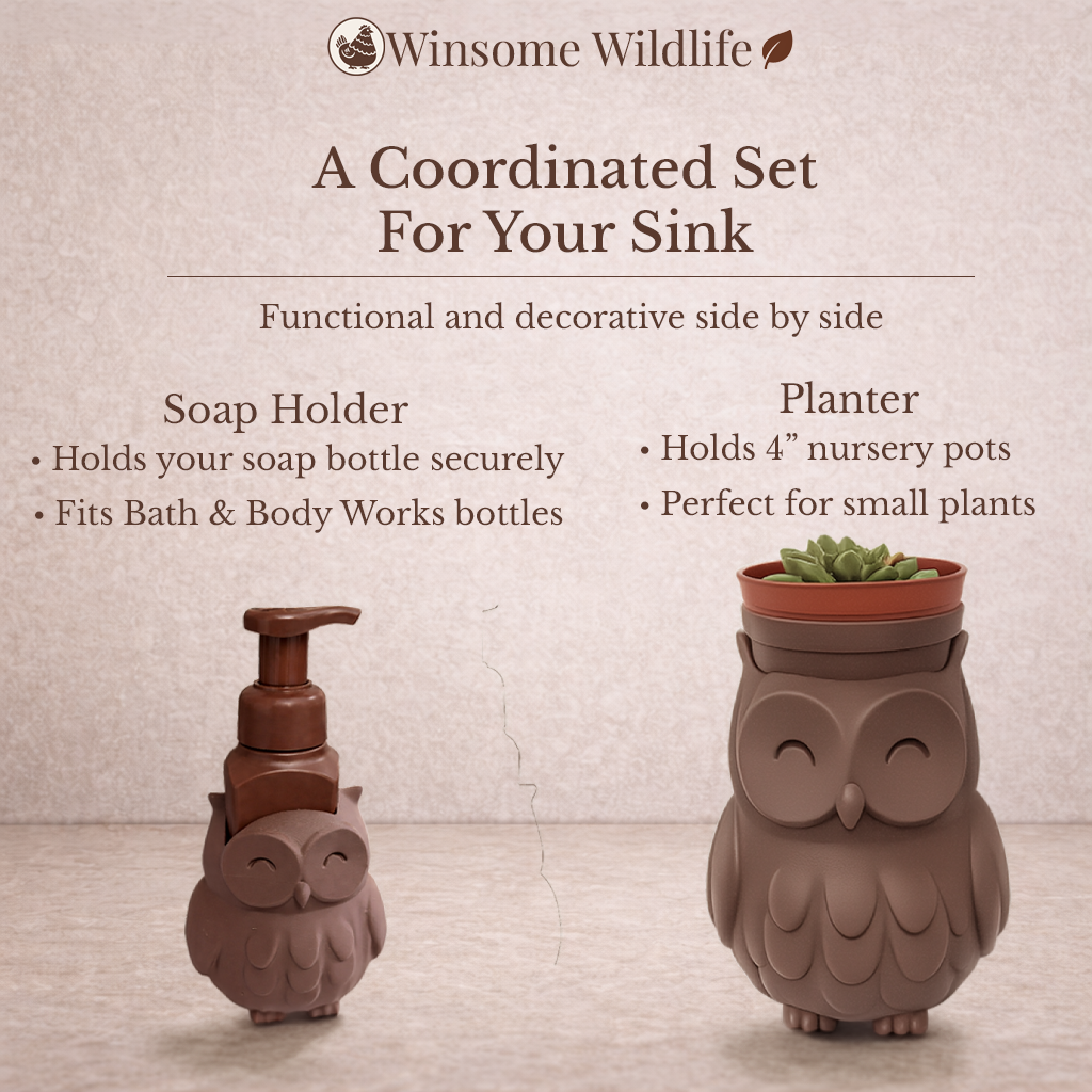 Owl Planter and Soap Holder Bundle - Winsome Wildlife
