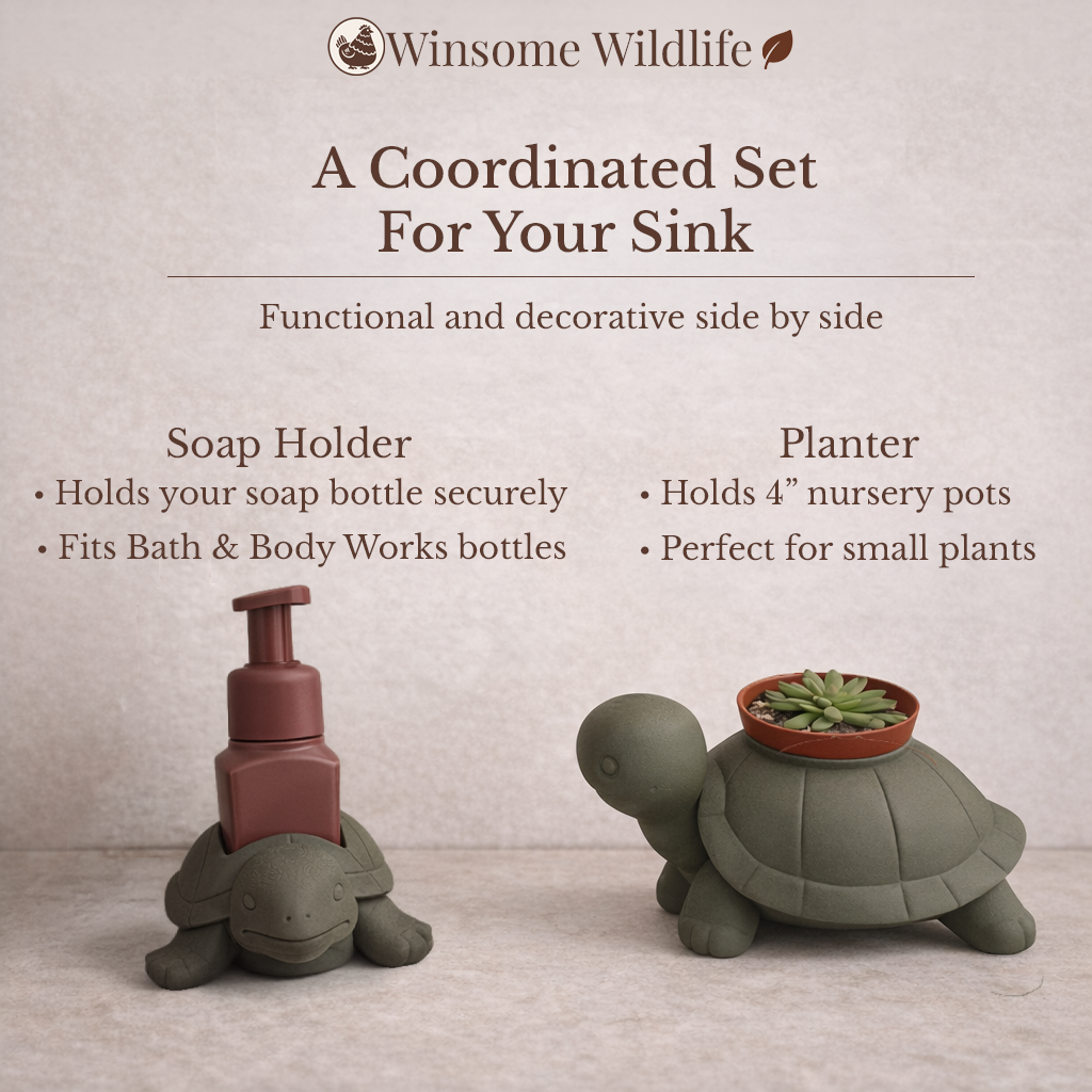 Turtle Planter and Soap Holder Bundle - Winsome Wildlife