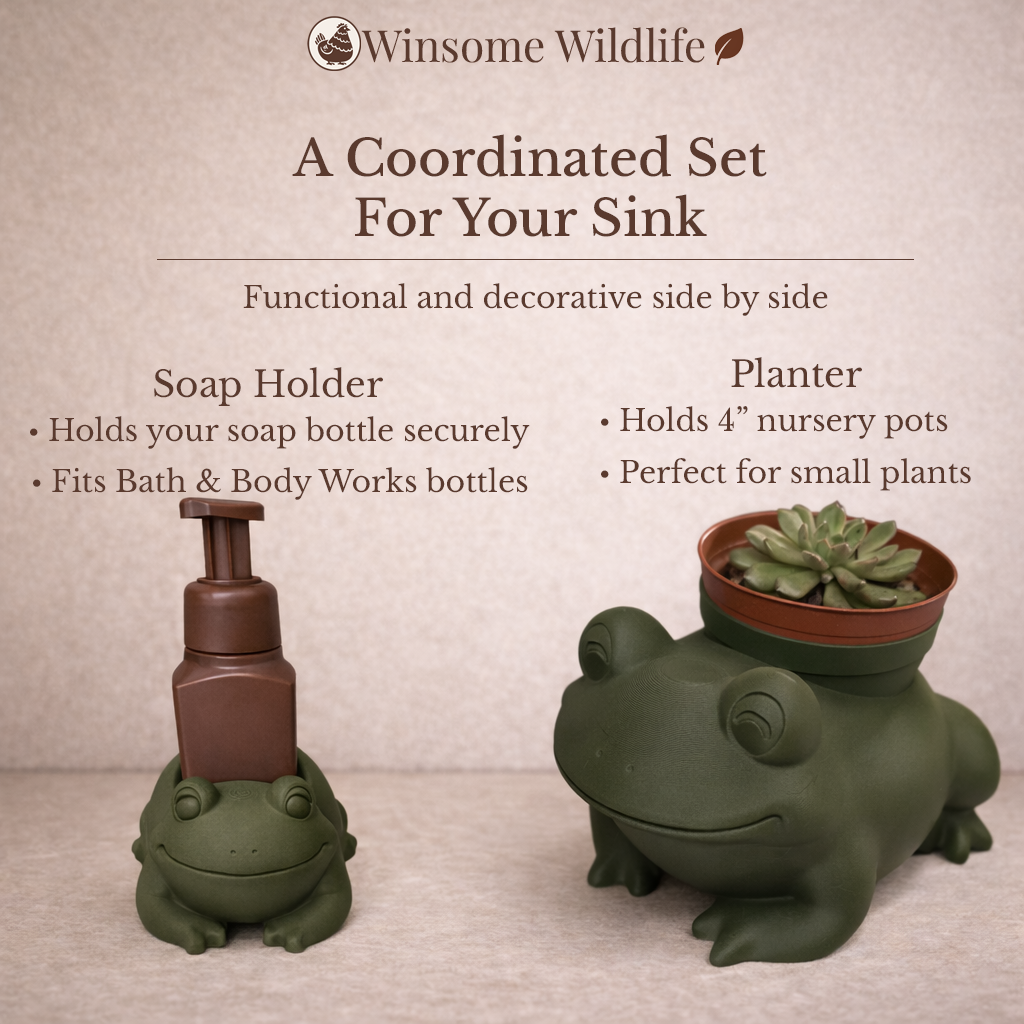 Frog Planter and Soap Holder Bundle - Winsome Wildlife