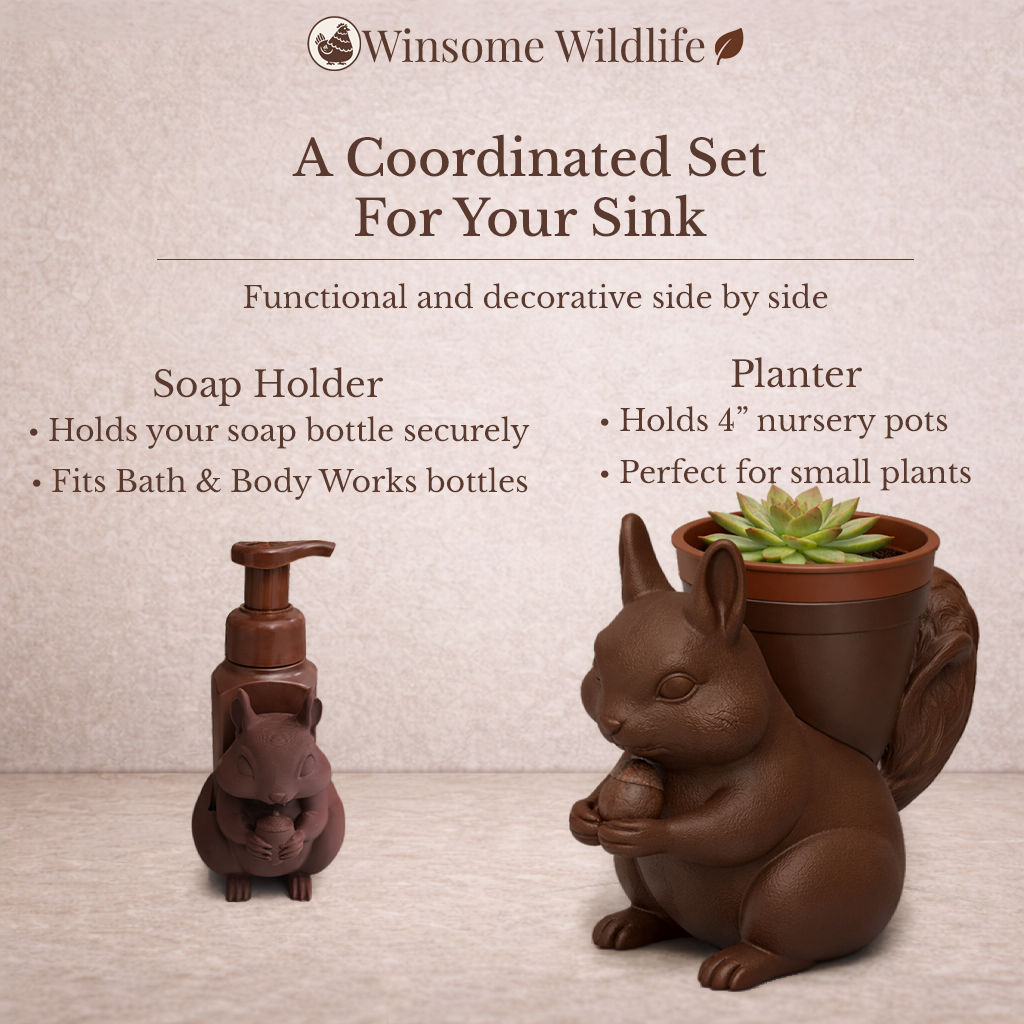 Squirrel Planter and Soap Holder Bundle - Winsome Wildlife