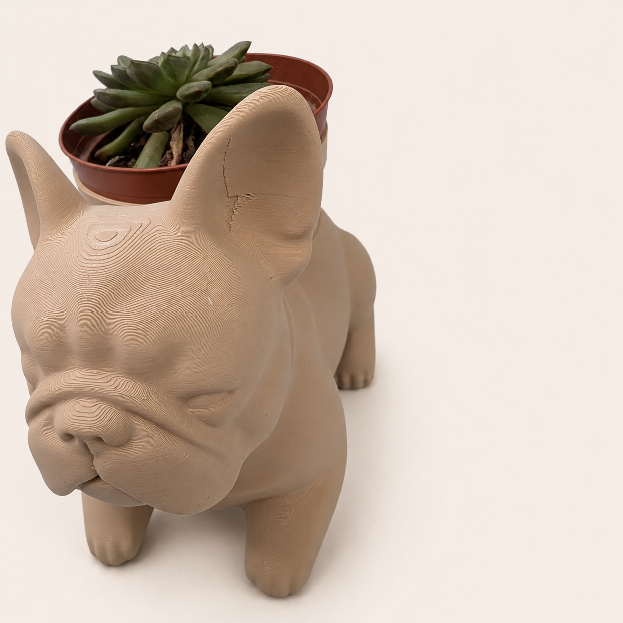 French Bulldog Planter - Winsome Wags - Studio Sample