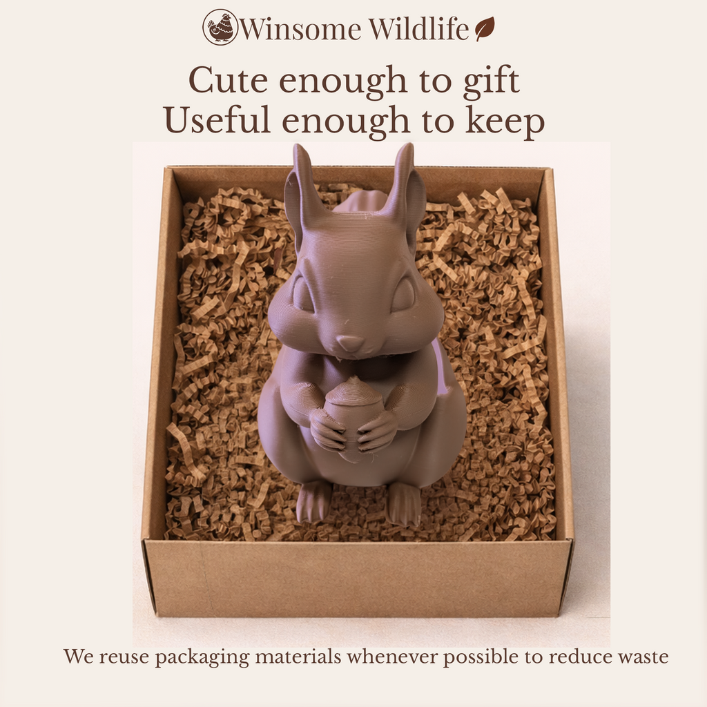 Squirrel Soap Holder - Bath & Body Works Holder - Winsome Wildlife