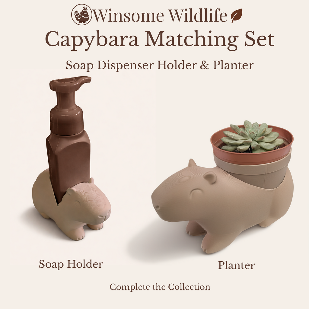 Capybara Planter and Soap Holder Bundle - Winsome Wildlife