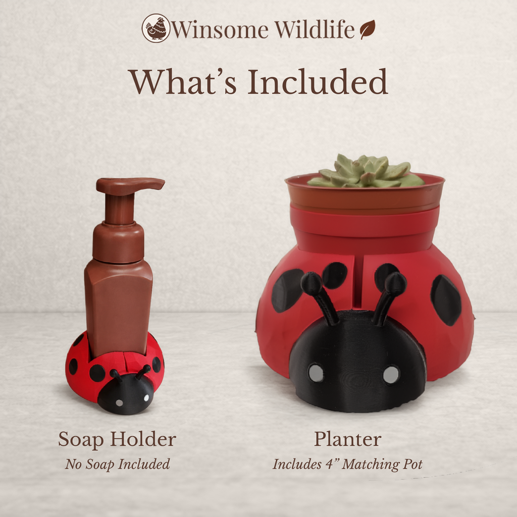 Ladybug Planter and Soap Holder Bundle - Winsome Wildlife