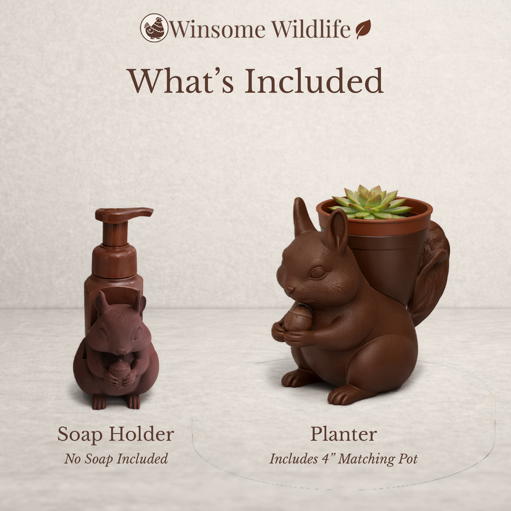 Squirrel Planter and Soap Holder Bundle - Winsome Wildlife