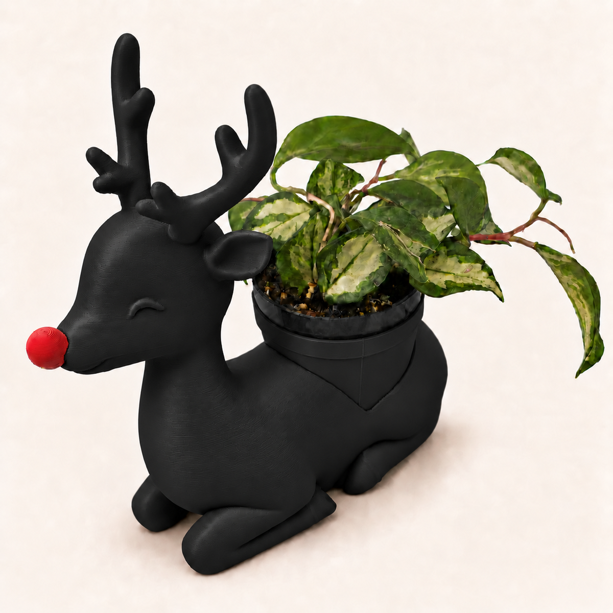 Rudolph - Winsome Wonderland