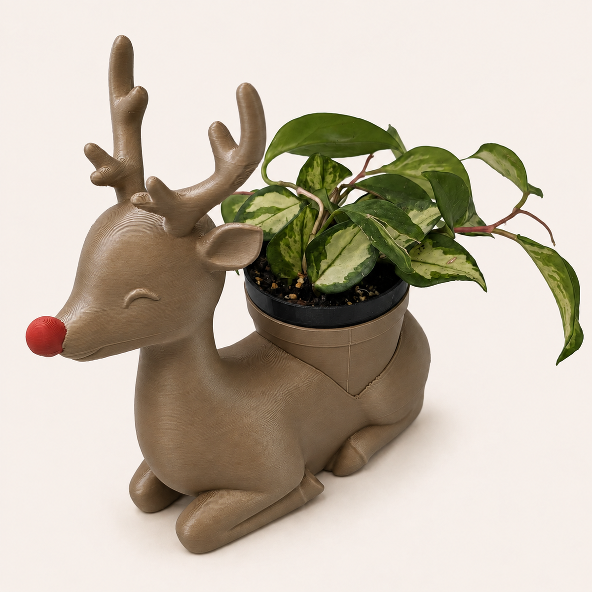 Rudolph - Winsome Wonderland
