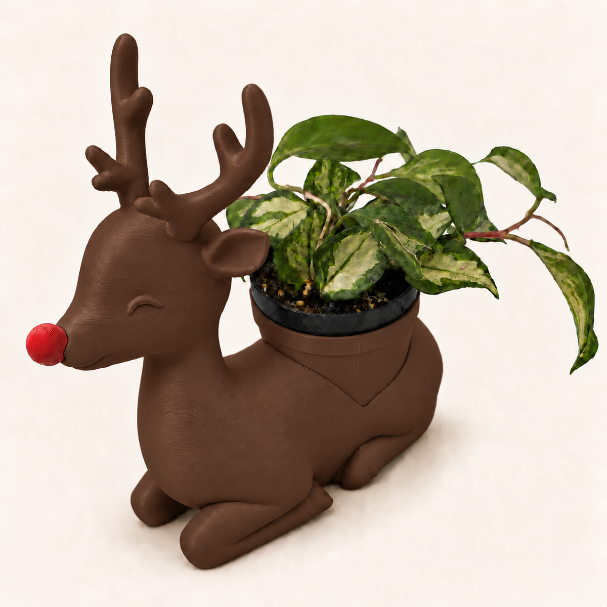Rudolph - Winsome Wonderland