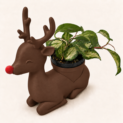 Rudolph - Winsome Wonderland