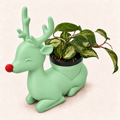 Rudolph - Winsome Wonderland