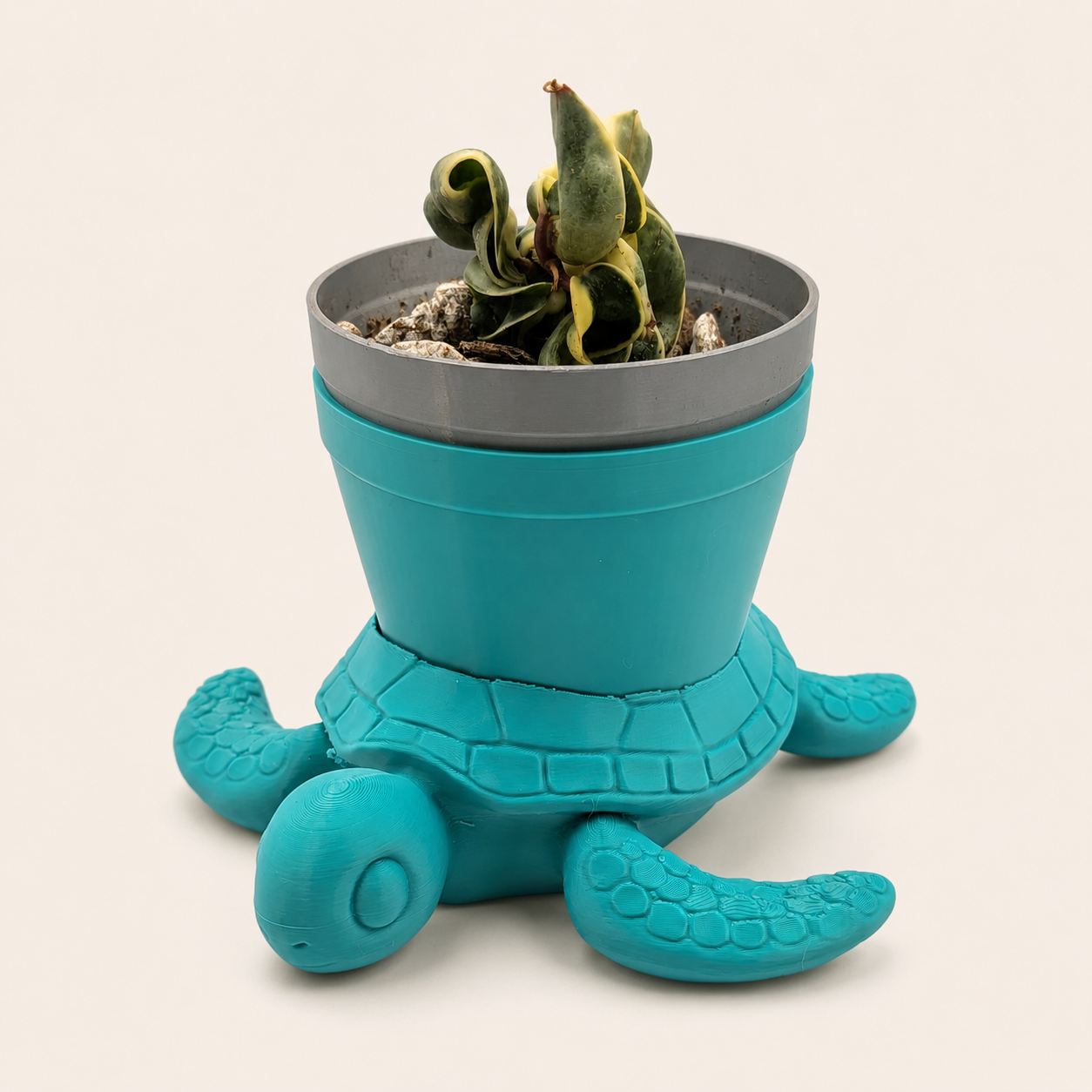 Sea Turtle Planter - Winsome Waters Planter