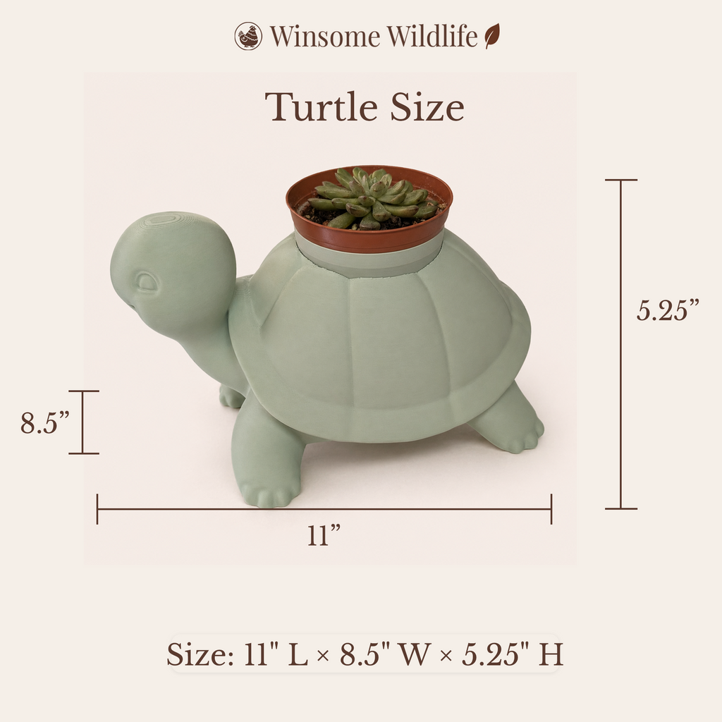 Turtle Planter - Winsome Wildlife