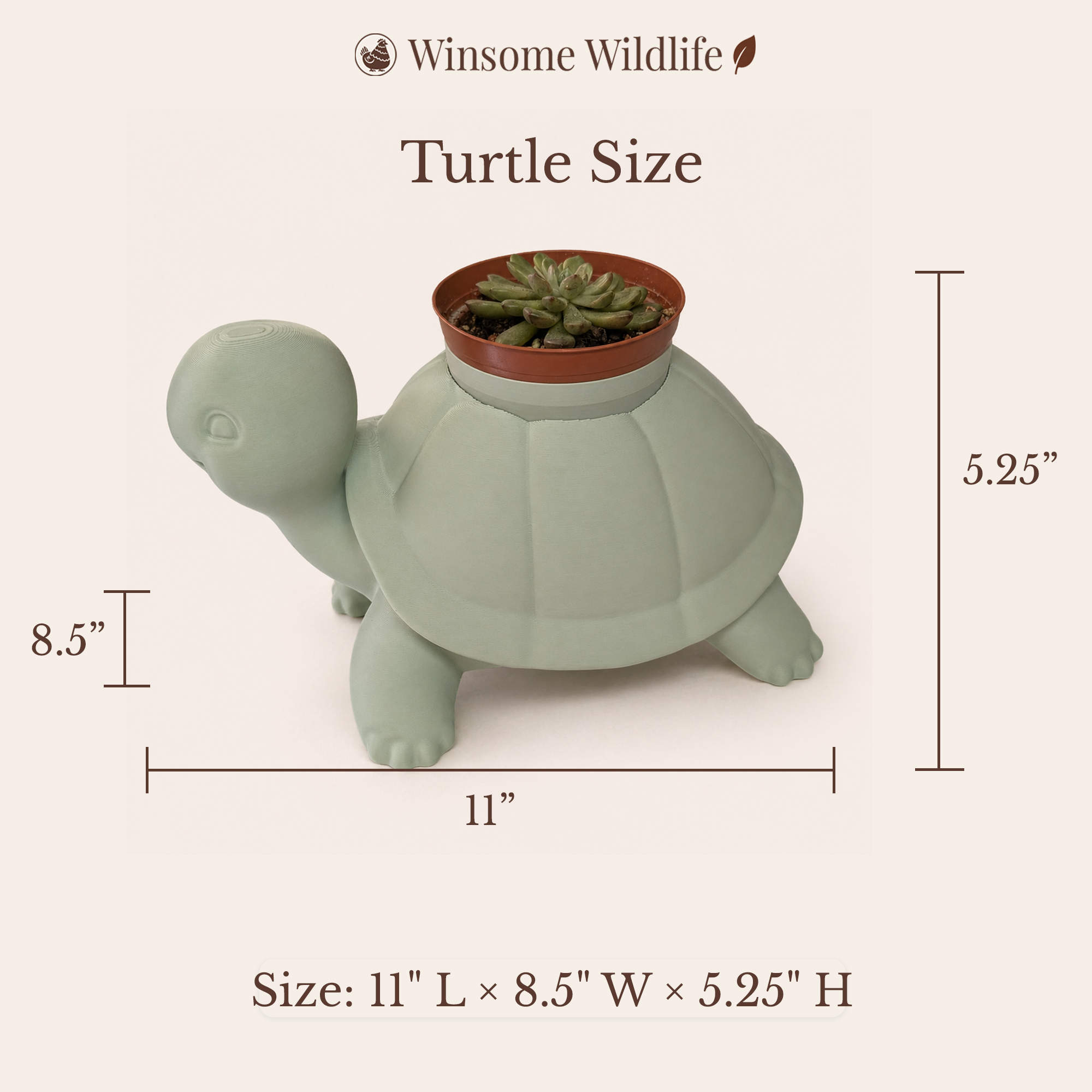 Turtle Planter - Winsome Wildlife