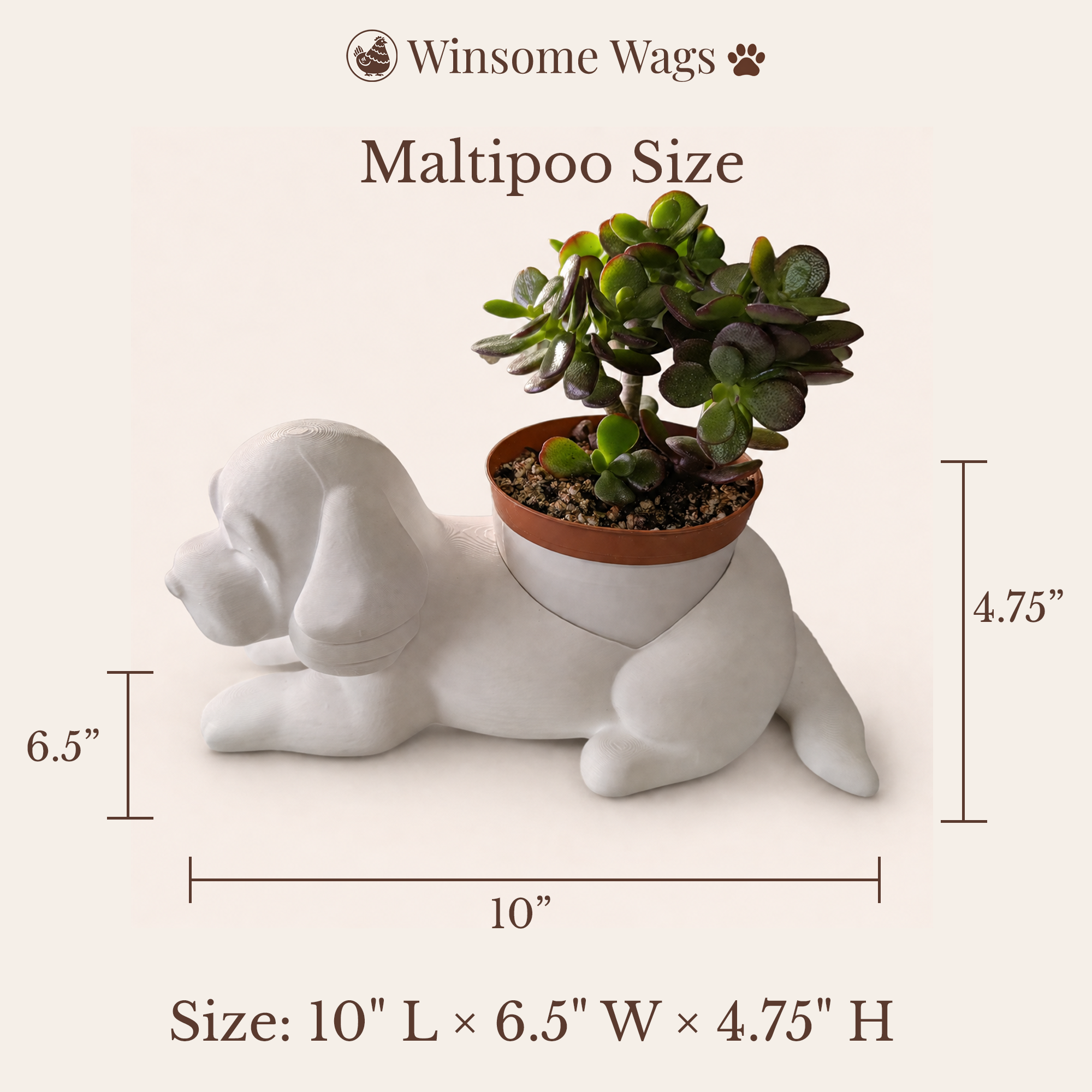 Maltipoo Planter - Winsome Wags