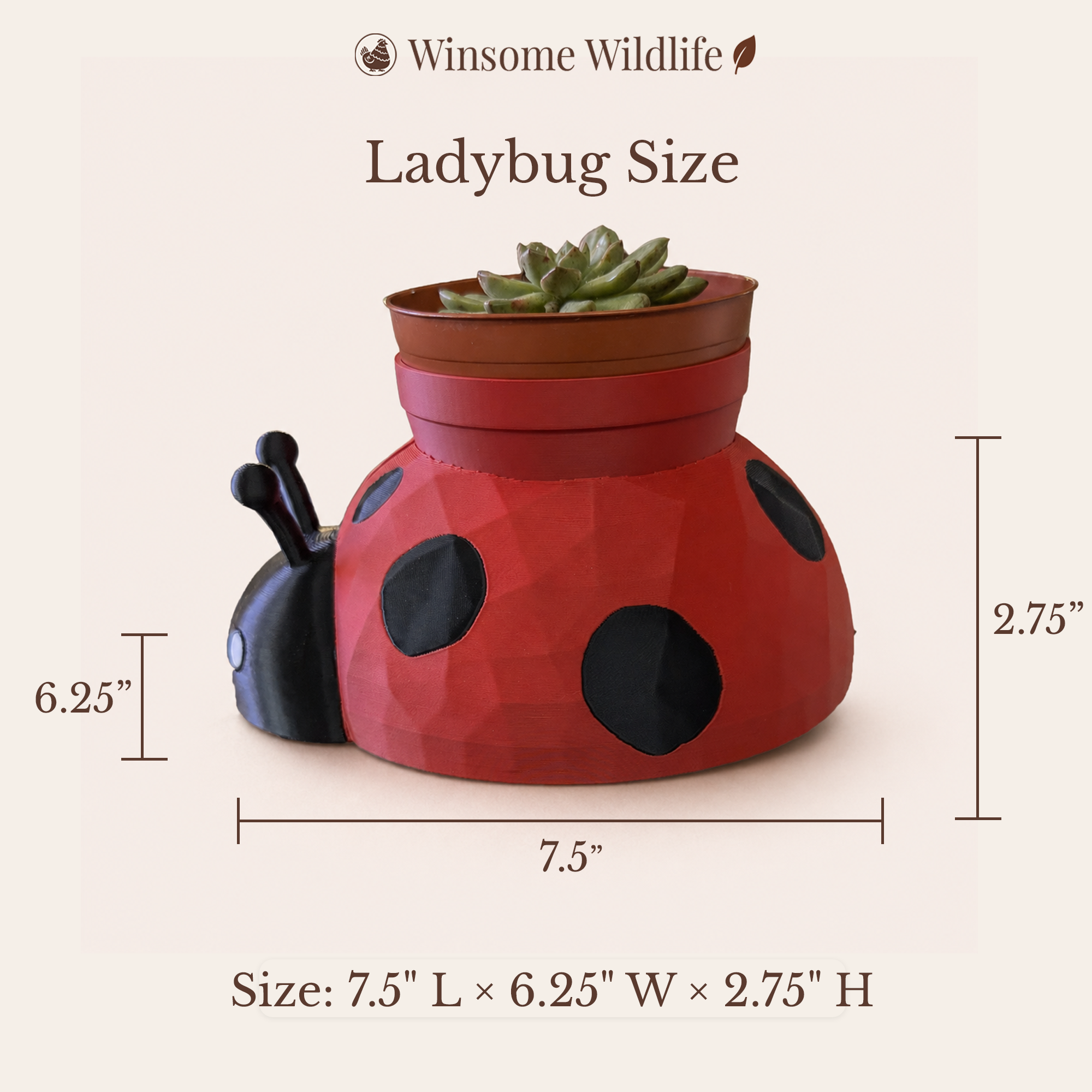 Ladybug Planter - Winsome Wildlife